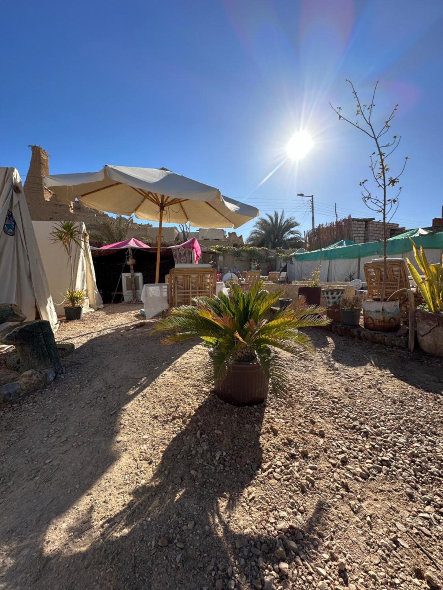 Muhra Camp Siwa Hotell Siwa Oasis Exteriör bild
