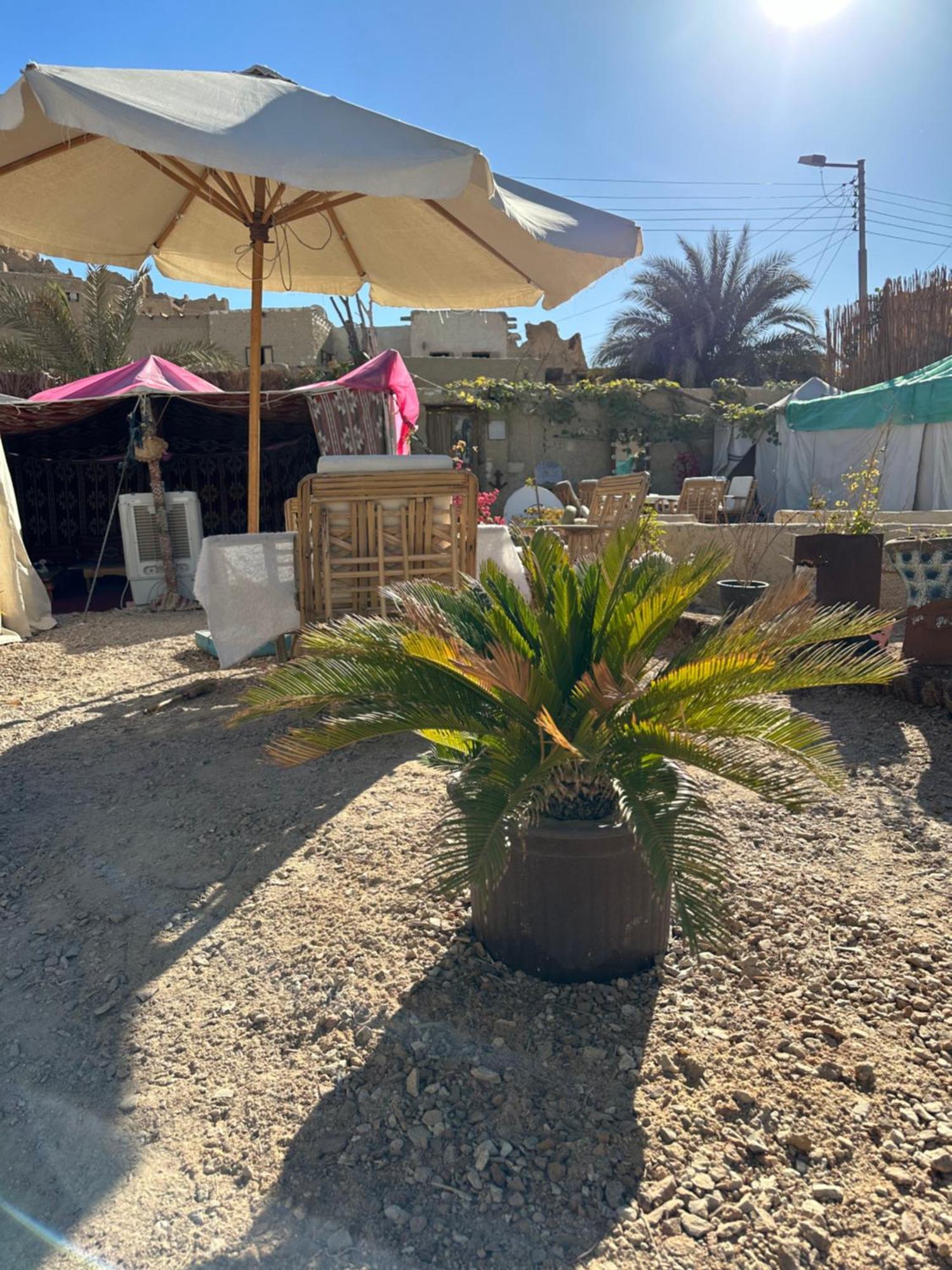 Muhra Camp Siwa Hotell Siwa Oasis Exteriör bild