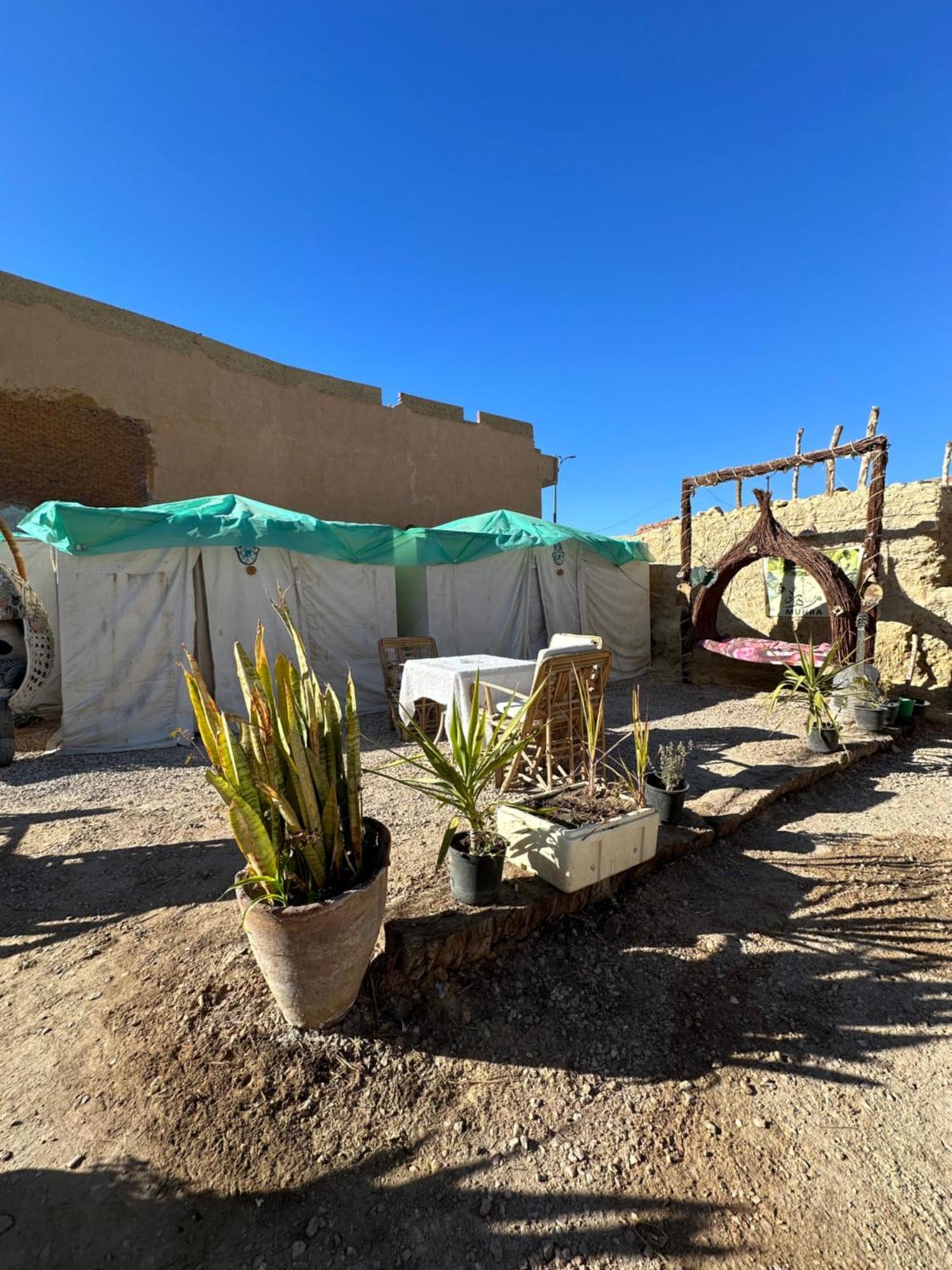 Muhra Camp Siwa Hotell Siwa Oasis Exteriör bild
