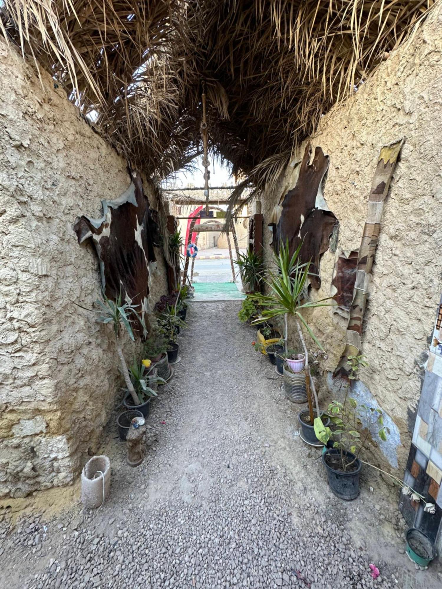 Muhra Camp Siwa Hotell Siwa Oasis Exteriör bild