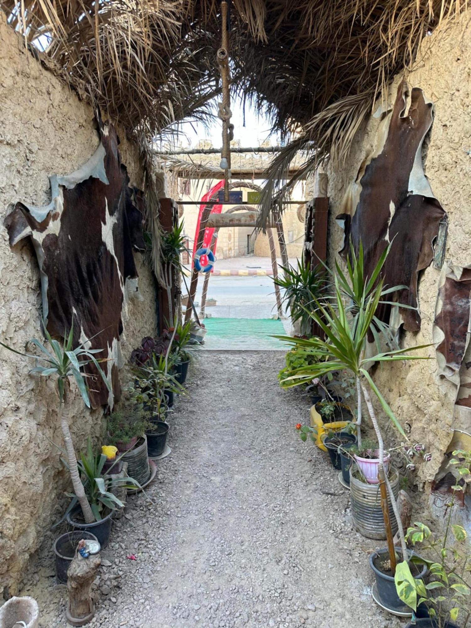 Muhra Camp Siwa Hotell Siwa Oasis Exteriör bild